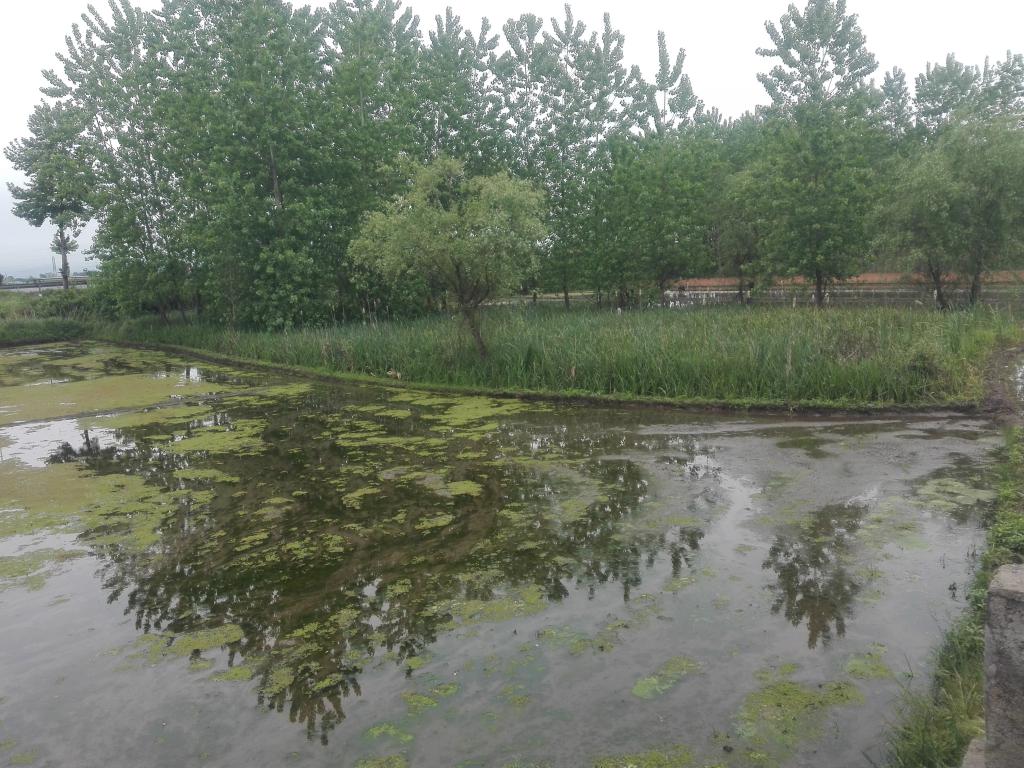 تالاب استیل