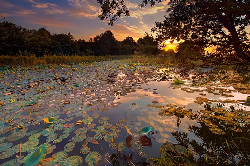 تالاب سوستان