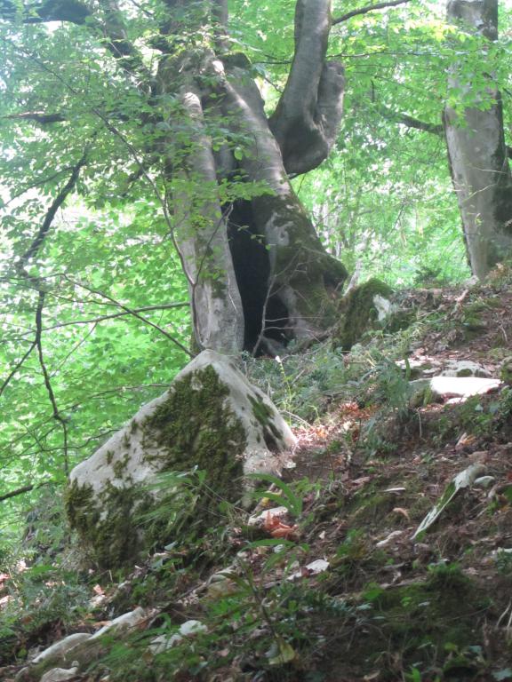 شمال-ییلاق کوربار