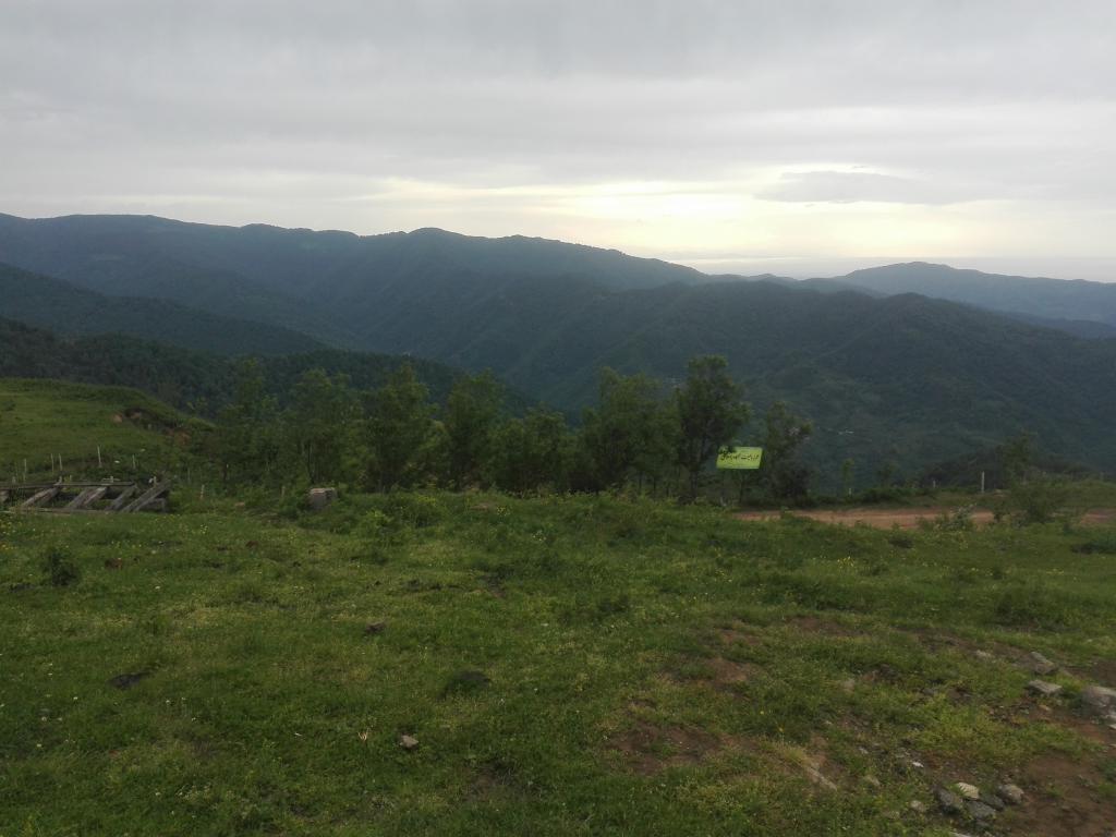 معرفی نقاط دیدنی - جنگل گیسوم