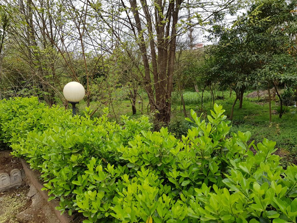 پارک ملی رشت