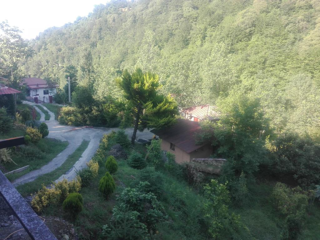 بام سبز- لاهیجان