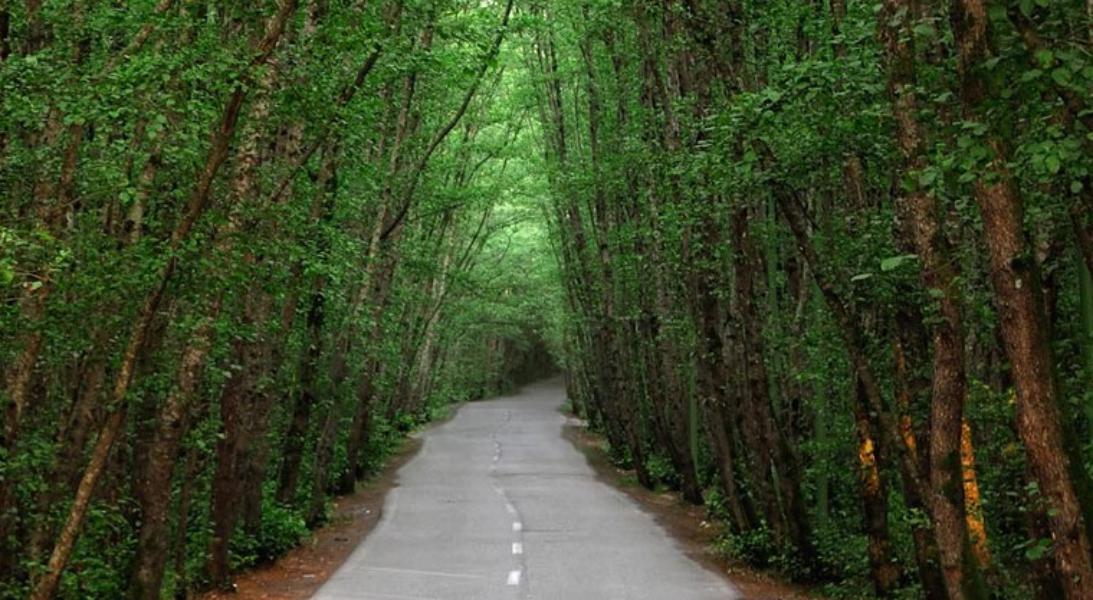 بهترین جای تالش