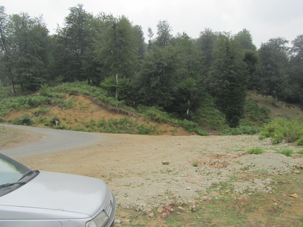 تالاب سوستان - لاهیجان