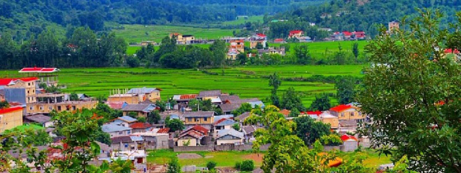 تالش برای زندگی