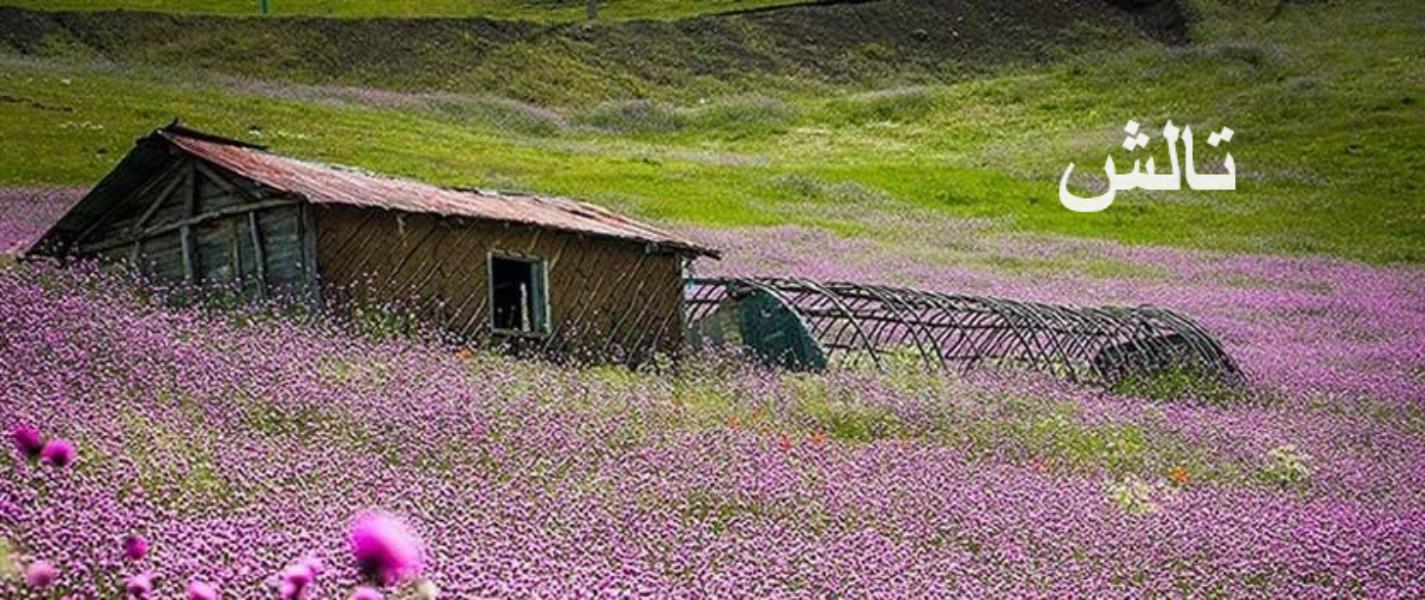 تالش در کدام استان است
