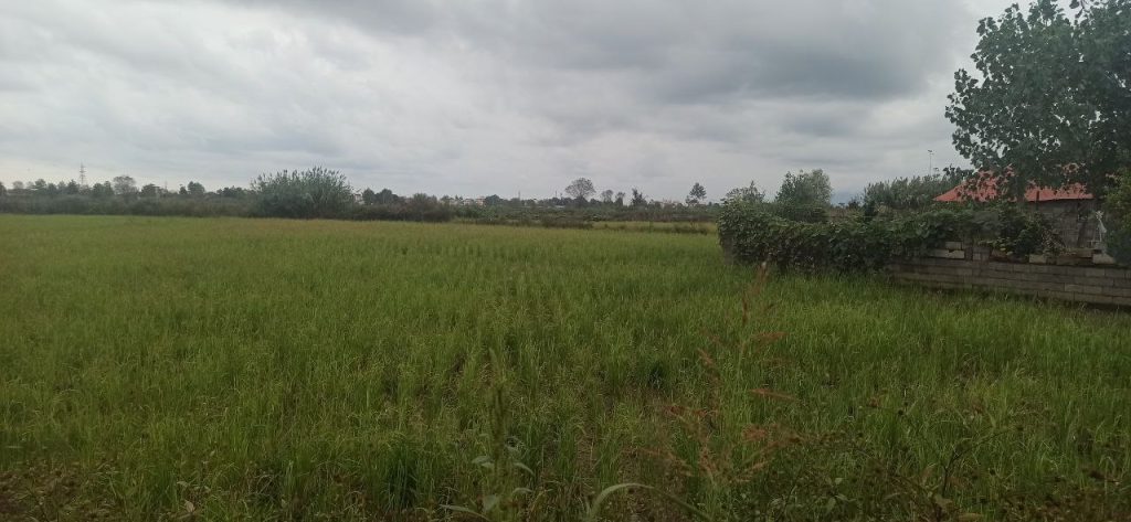 جاذبه های گردشگری سیاهکل