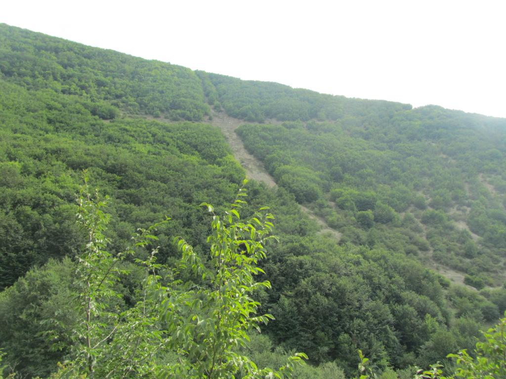 صفرابسته آستانه اشرفیه