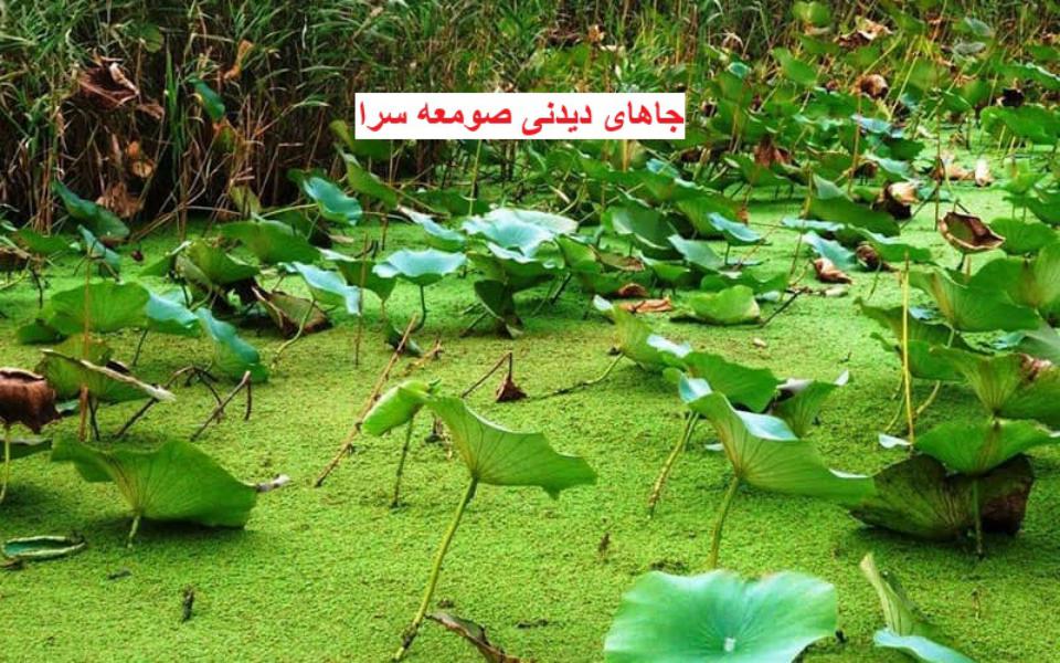 صومعه سرا پلنگ رود