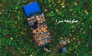 صومعه سرا عکس