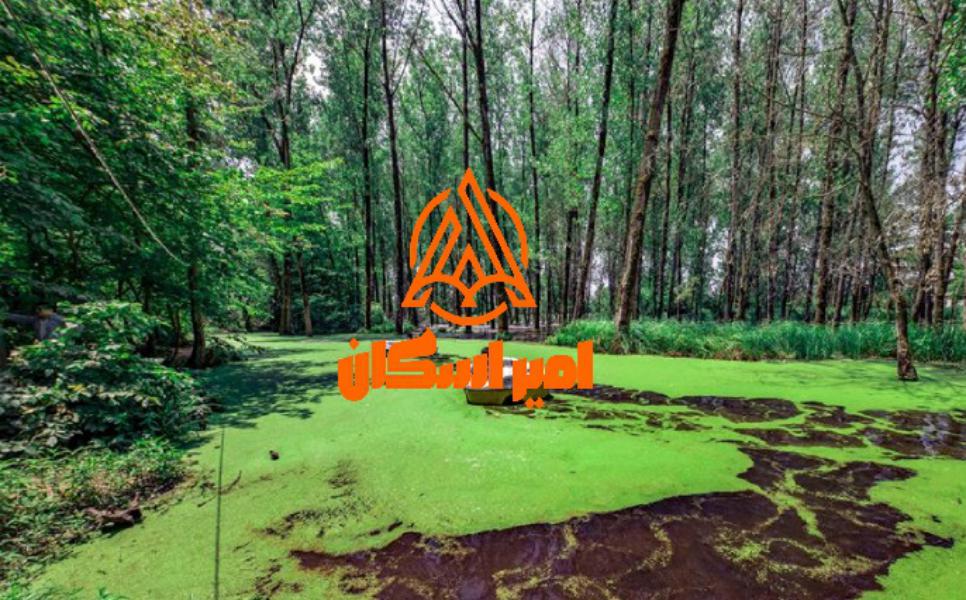 مرداب سراوان