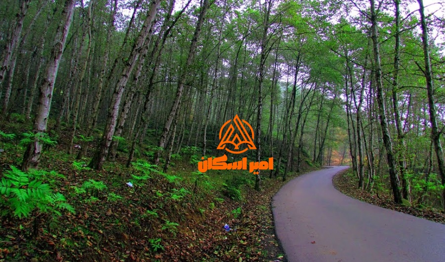 جنگل لفور بابل