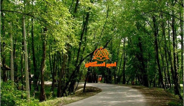 پارک جنگلی نور