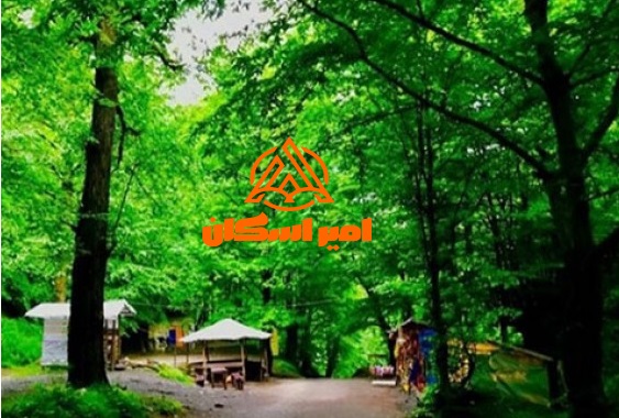 بوستان جنگلی صفارود