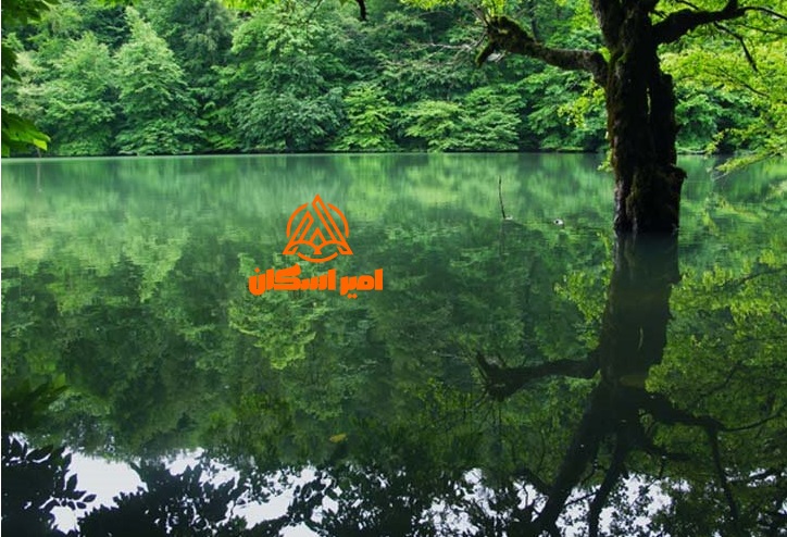 دریاچه چورت