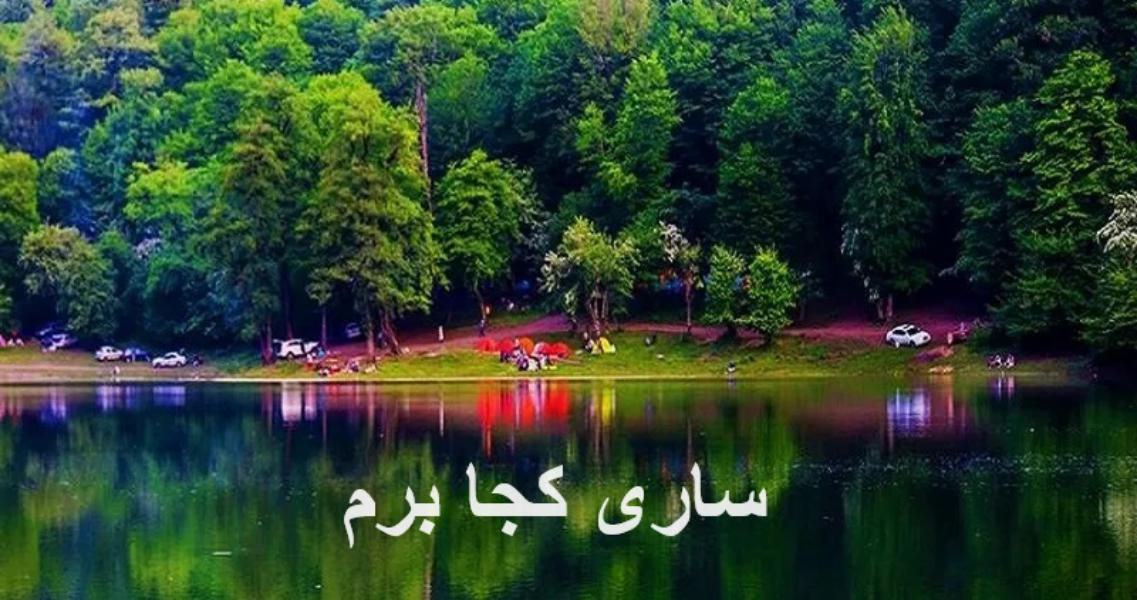 ساری کجا برم