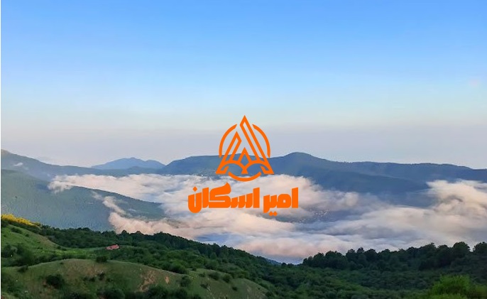 جنگل الیمالستان