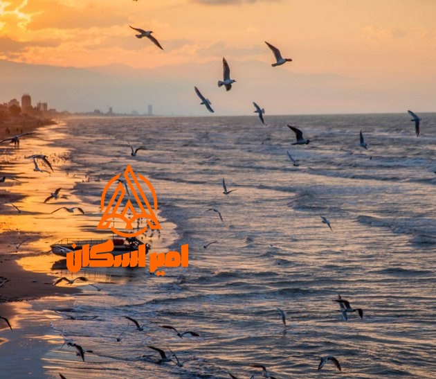 ساحل رادیو دریا چالوس