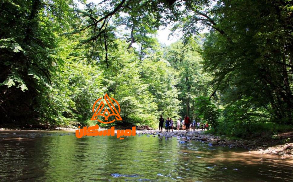 اقامت در جنگل جیغ مشهد