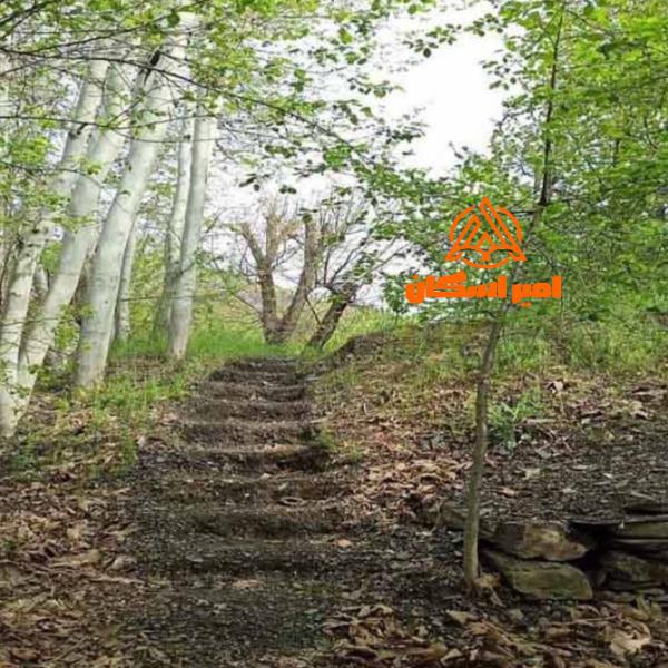 جنگل جیغ مشهد کجاست؟