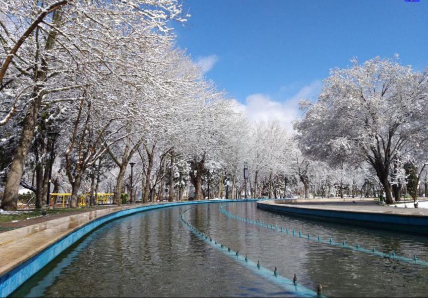 پارک ملت مشهد در زمستان