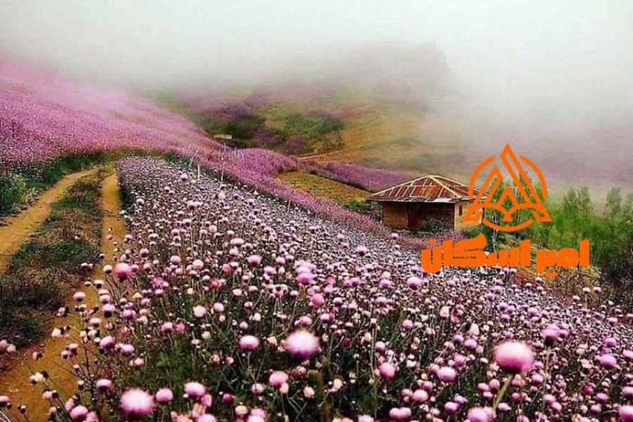 اولسبلنگاه کجاست