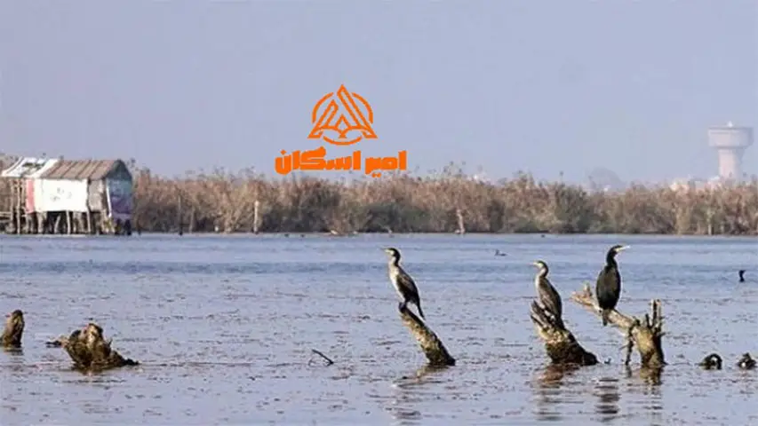 بهترین اسکله تالاب انزلی