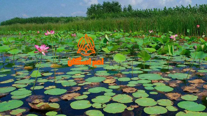 تالاب انزلی کجاست