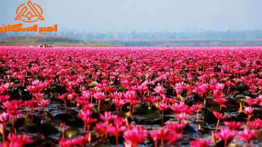 جاهای دیدنی تالاب انزلی