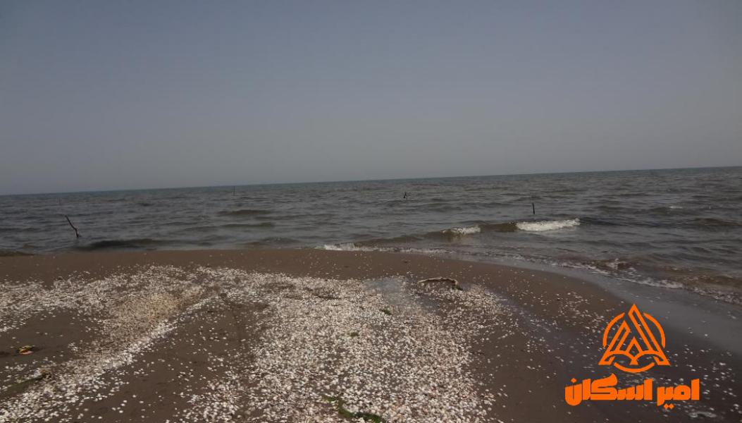 ساحل چابکسر