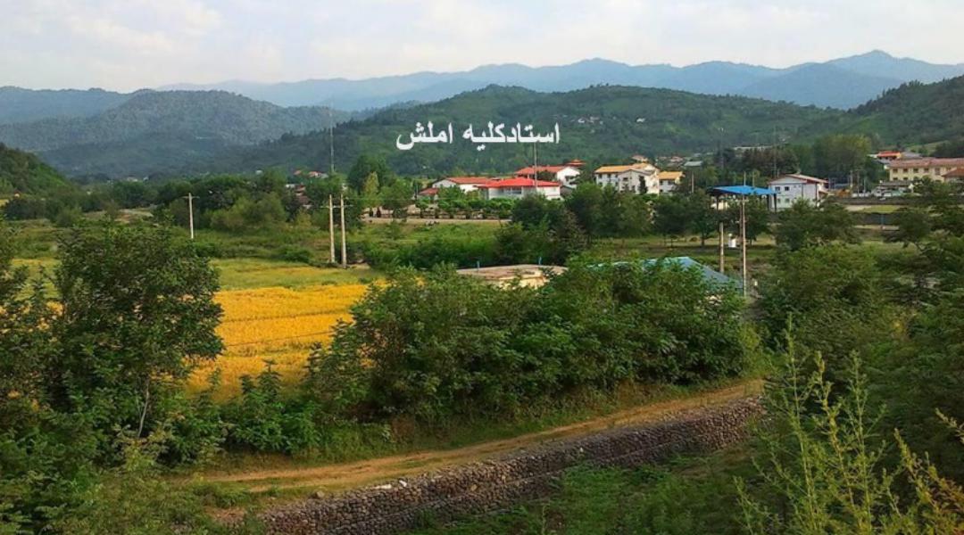 املش استادکلایه