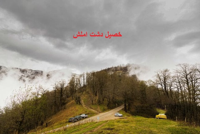 املش خصیل دشت