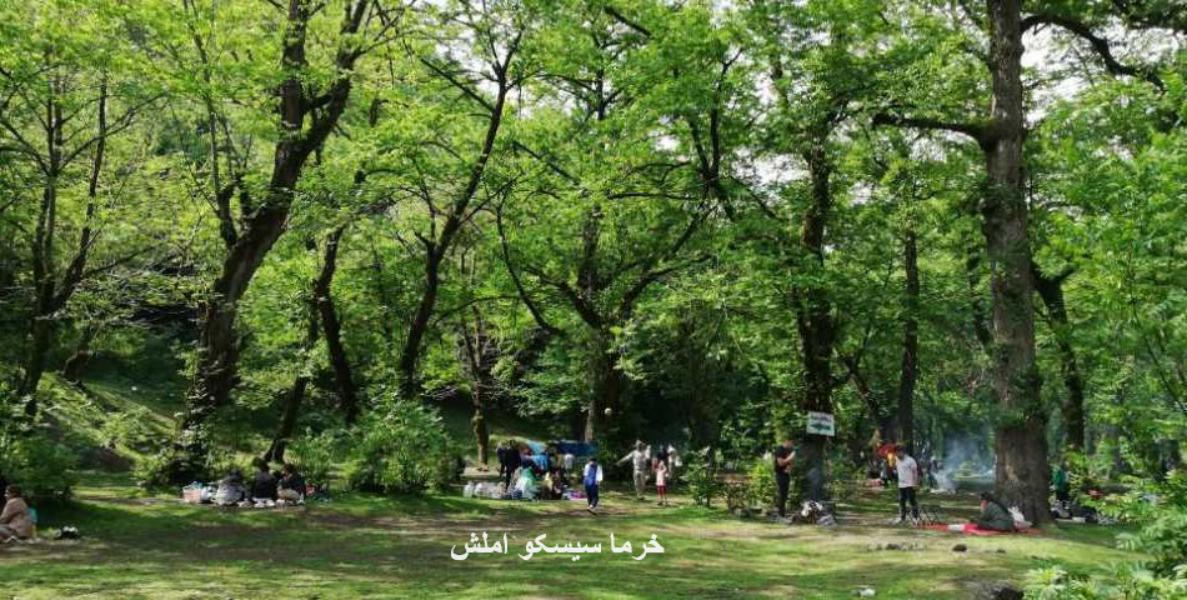 املش پارک جنگلی خرما