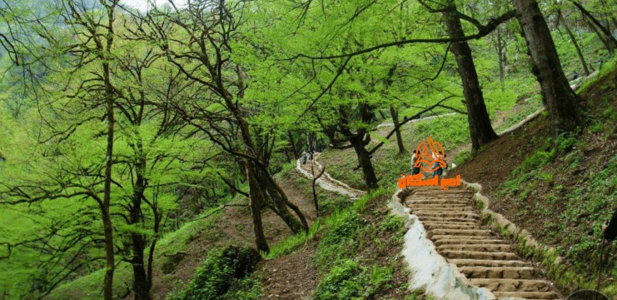 حسن رود بندرانزلی