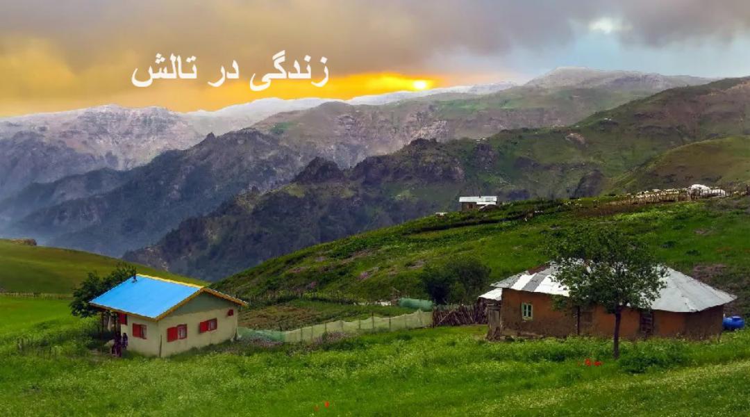 زندگی در تالش