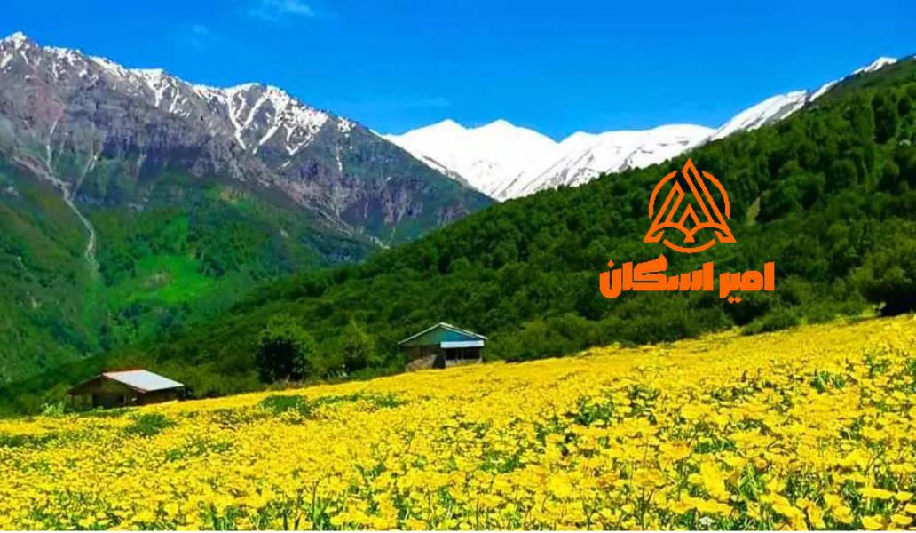 زندگی در شمال