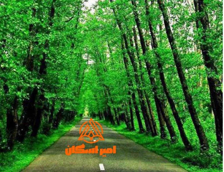 زیباترین جای شمال کجاست؟