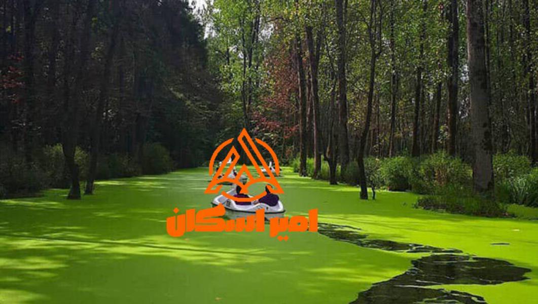 شمال در تابستان