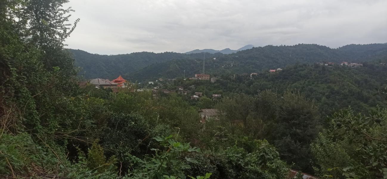 فرق گیلان و مازندران