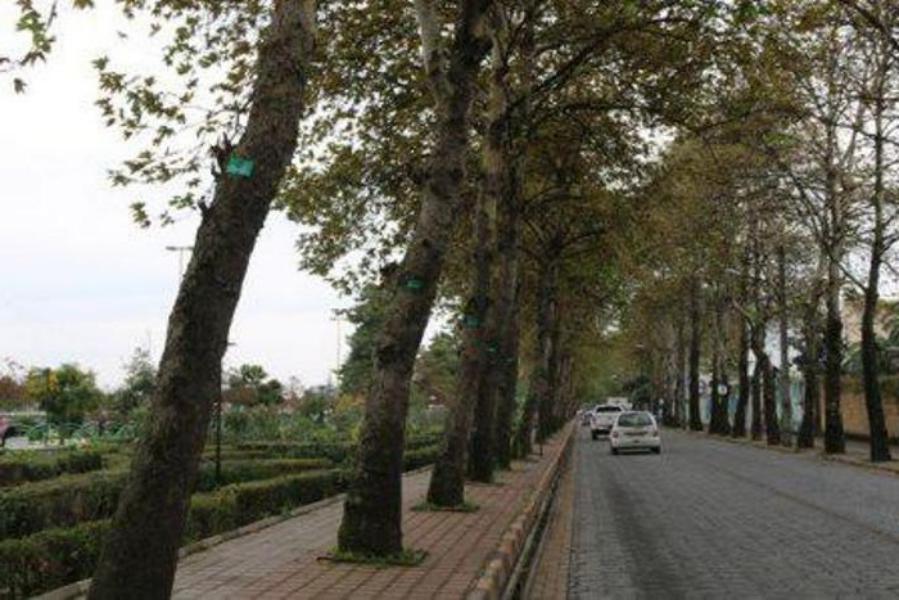 لاهیجان خیابان کارگر