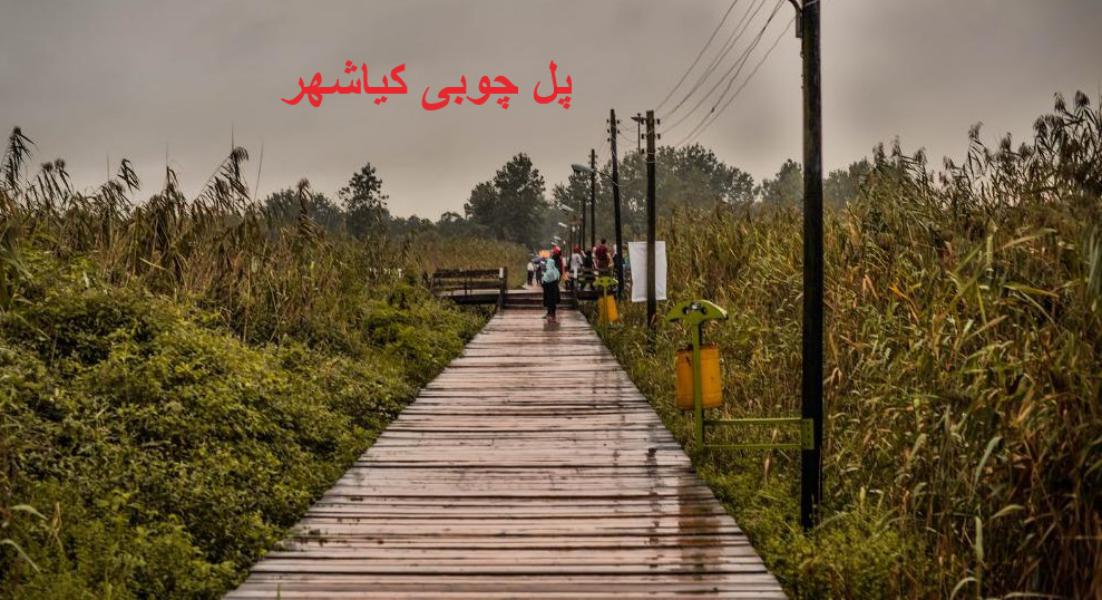 پل چوبی آستانه اشرفیه