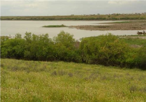 تالاب آجی گل