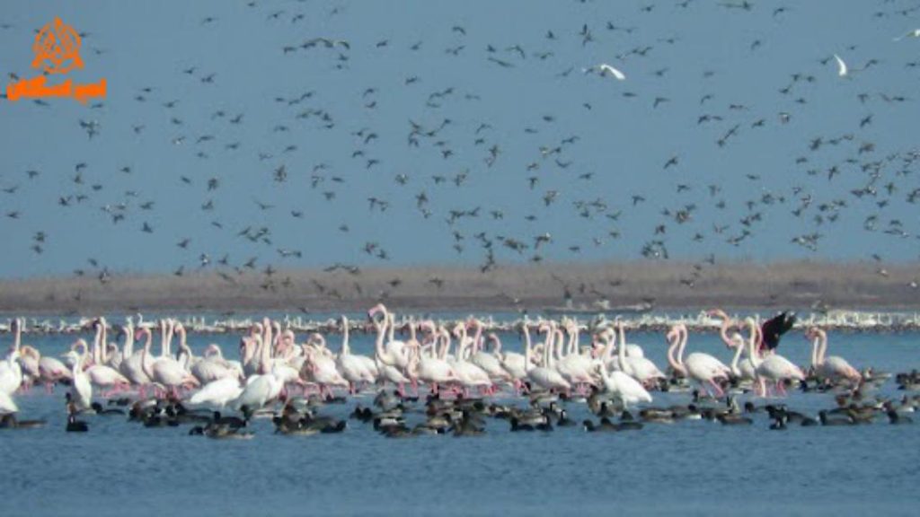 تالاب آشورزاده