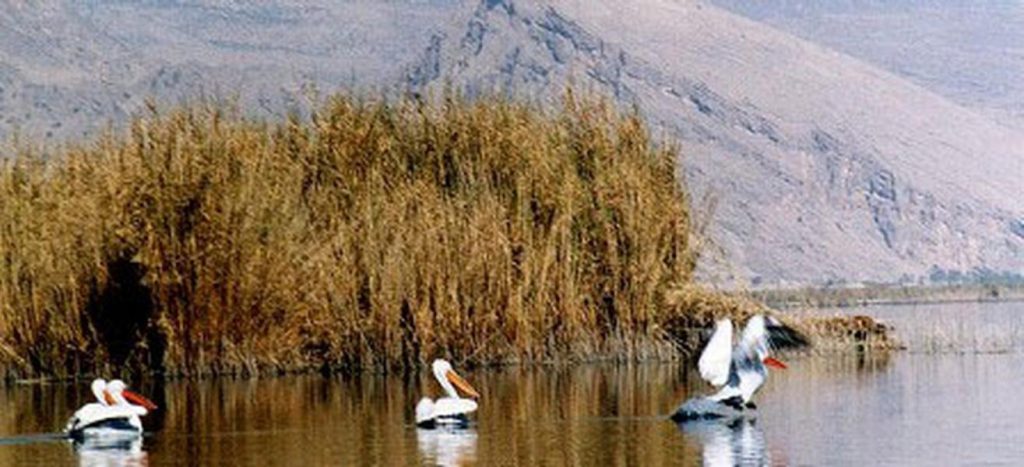 تالاب آلماگل