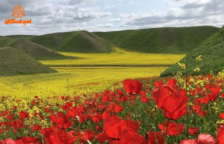 جاهای دیدنی گنبد کاووس