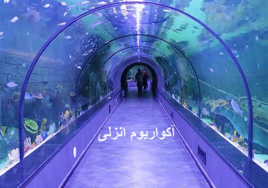 متل قو تا انزلی