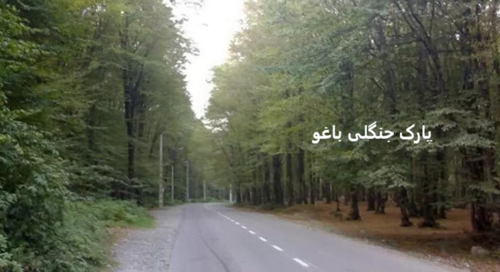 پارک جنگلی باغو