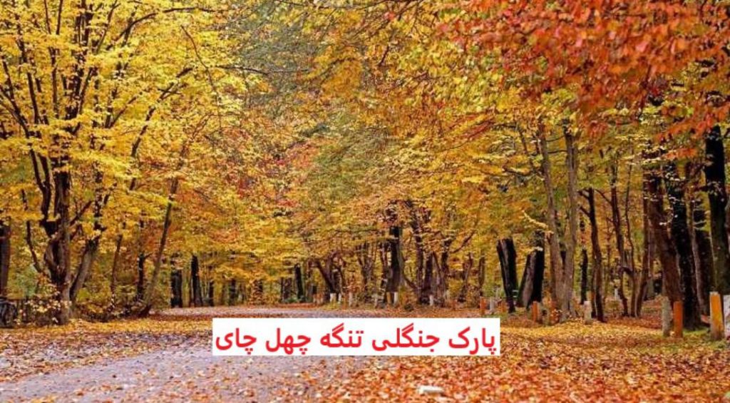 پارک جنگلی تنگه چهل چای