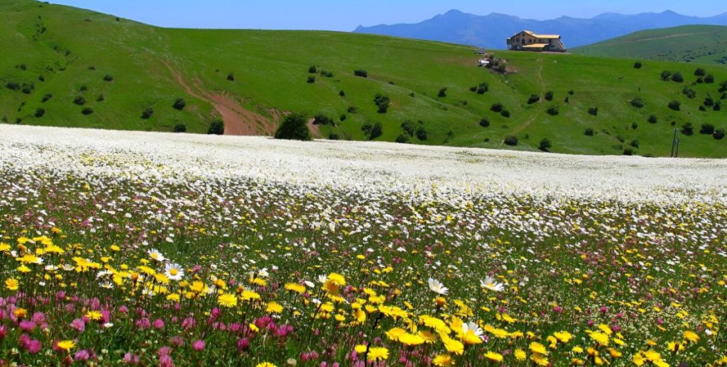 بهترین زمان سفر به اردبیل