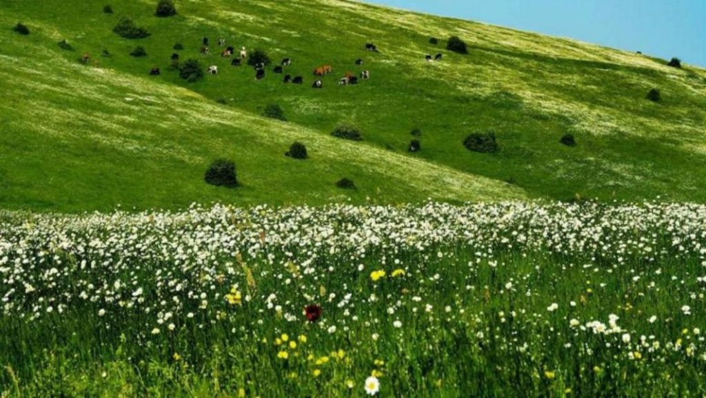 جاهای دیدنی اردبیل در بهار